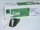 cowslip