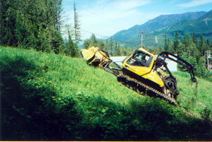 skihillnew1 skihillnew1